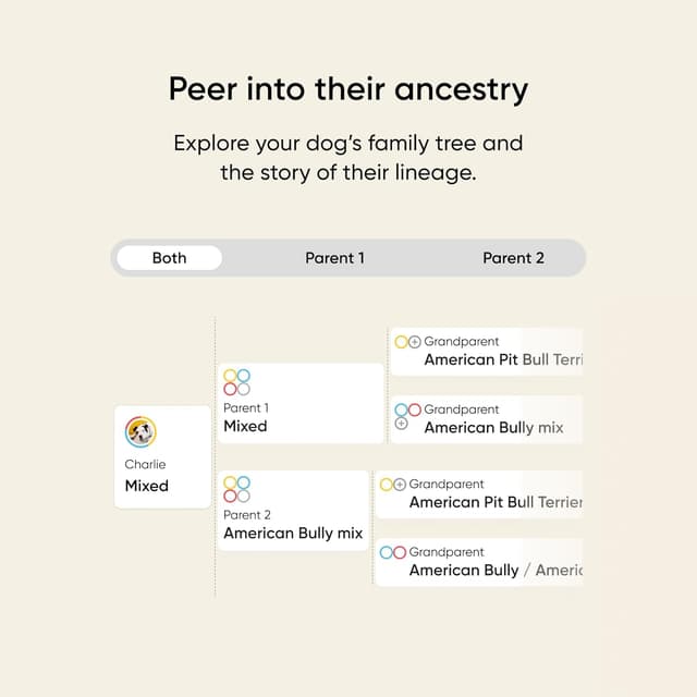 Thumbnail 5 de Embark Breed Health Kit Dog DNA Testing