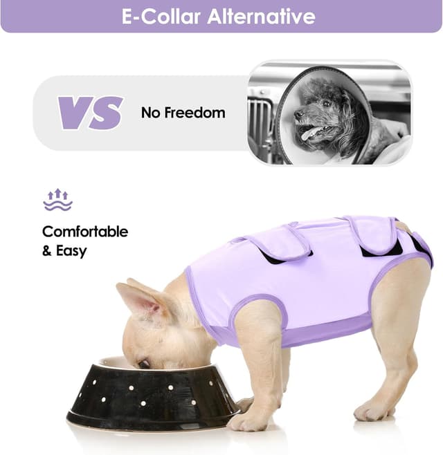 Detalle de ASENKU body post operatorio per cane femmina con colletto alternativo dopo l’intervento