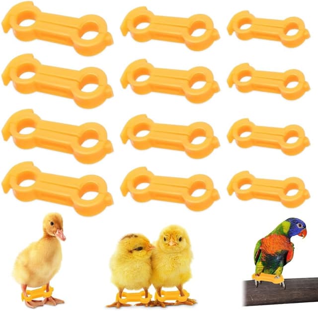 Imagen de BNGXR Küken Beinspange 12 Stück en OfertitasTOP