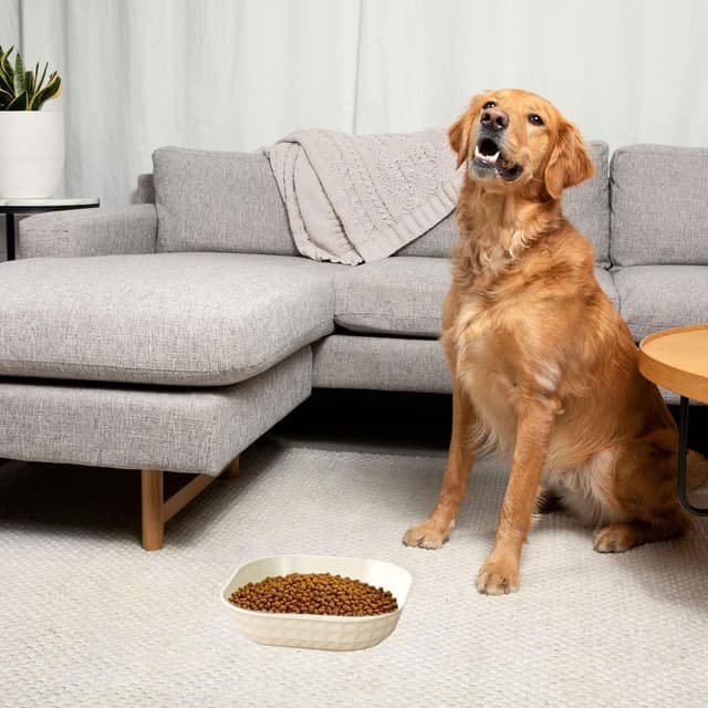 Thumbnail 6 de 10er-Set flache Katzen- und Hundenäpfe aus PP (Futter- & Wassernapf, Antischlingnapf-Ansatz) – 10 Stück