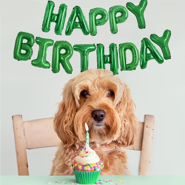 Thumbnail 4 de TONIFUL Green Mylar "Happy Birthday" Banner 16" 🎈