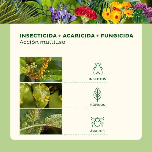 Thumbnail 4 de Ikebana Triple Acción BIO 24h 🌱