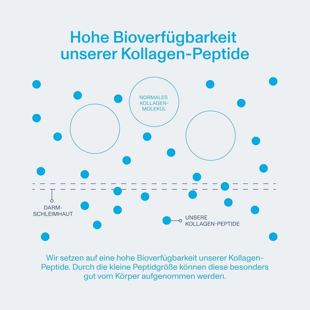 Detalle 2 de Vital Proteins Collagen Peptides 264 g – reine Kollagen-Peptide (Typ 1 & 3), geschmacksneutral
