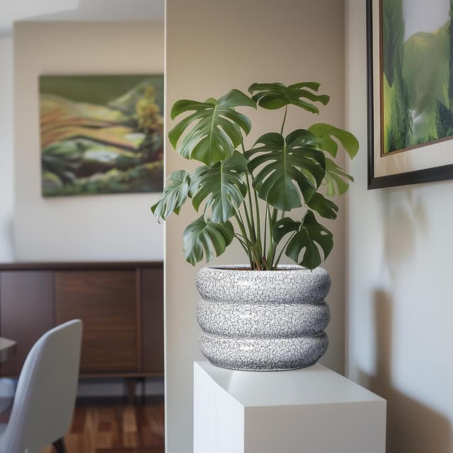 Thumbnail 4 de SQOWL Ceramic Planter 10-inch indoor plant pot