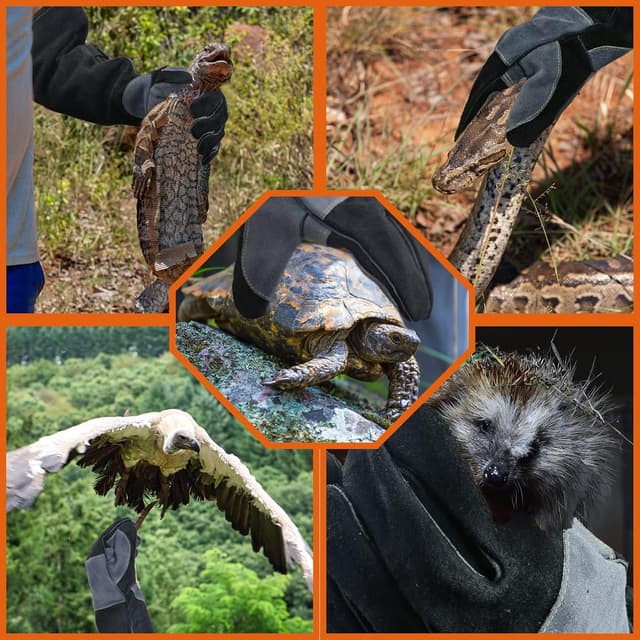 Thumbnail 5 de WZQH 23.6-inch Leather Animal Handling Gloves