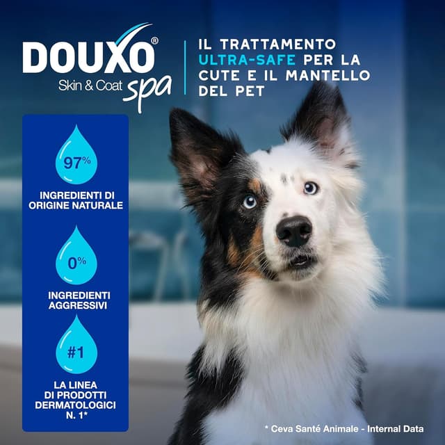 Detalle de DOUXO Skin & Coat SPA mousse detergente 150 ml