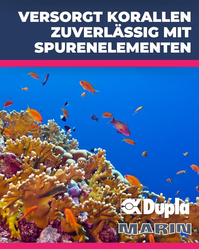 Detalle de Dupla Marin Dosing Pump P4 Smart I 4-Kanal Dosierpumpe für Meerwasseraquarium