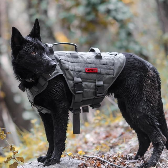 Detalle de OneTigris X Destroyer : harnais tactique réglable anti-traction pour chien gris, taille L