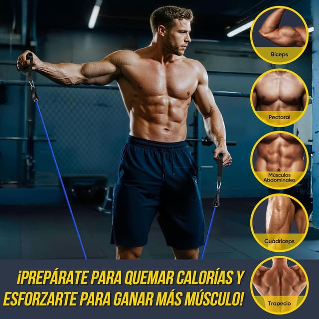 Thumbnail 6 de Fokky Gomas Elasticas Musculación 5 niveles 150 LBS