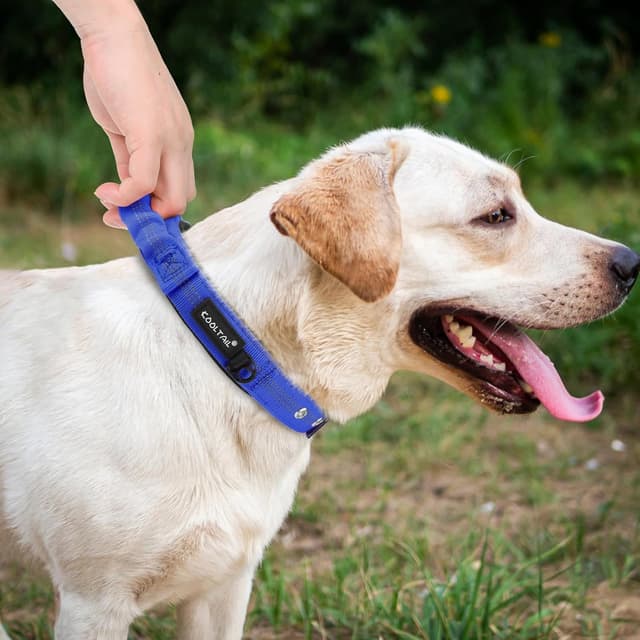 Thumbnail 6 de KOOLTAIL Tactical Dog Collar L 17-22 in