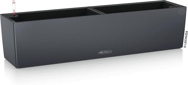 Thumbnail 6 de Lechuza Balconera Color 50 Muskat All-in-One