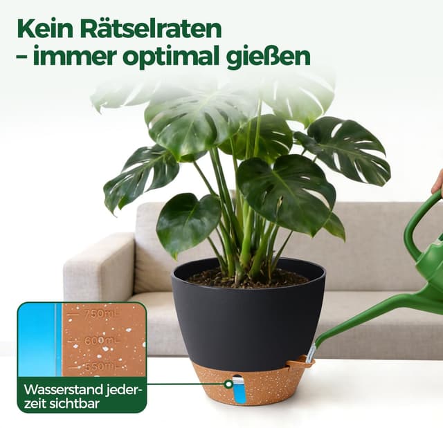 Detalle 2 de T4U T4U 2er Set selbstbewässernder Blumentopf 30 cm