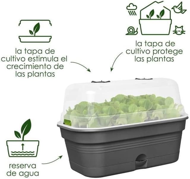 Thumbnail 5 de Elho Green Basics Grow Tray Allin1 39 – Jardinera all-in-one 🌱