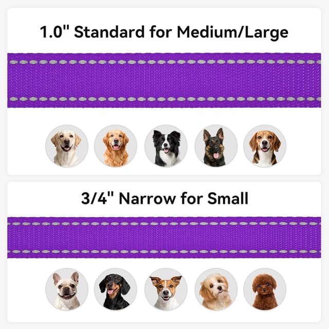 Detalle de Joytale Padded Handle Dog Lead (Double-Sided Reflective Nylon) with 360° Clasp, Purple, 1.2m × 2cm