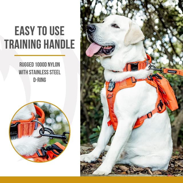 Detalle de OneTigris Hundehalsband mit Metallschnalle (Orange, Größe M) – gepolstertes Nylon mit D-Ring