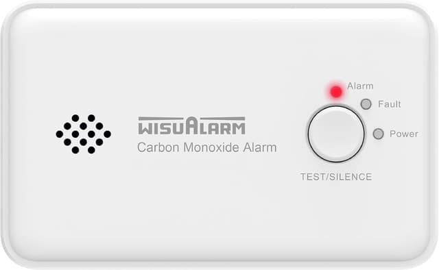 Detalle de WISUALARM Rilevatore Monossido di Carbonio 10 anni 📢