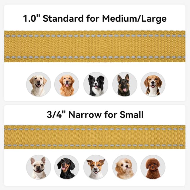 Detalle 2 de Joytale reflective dog leash 5 ft