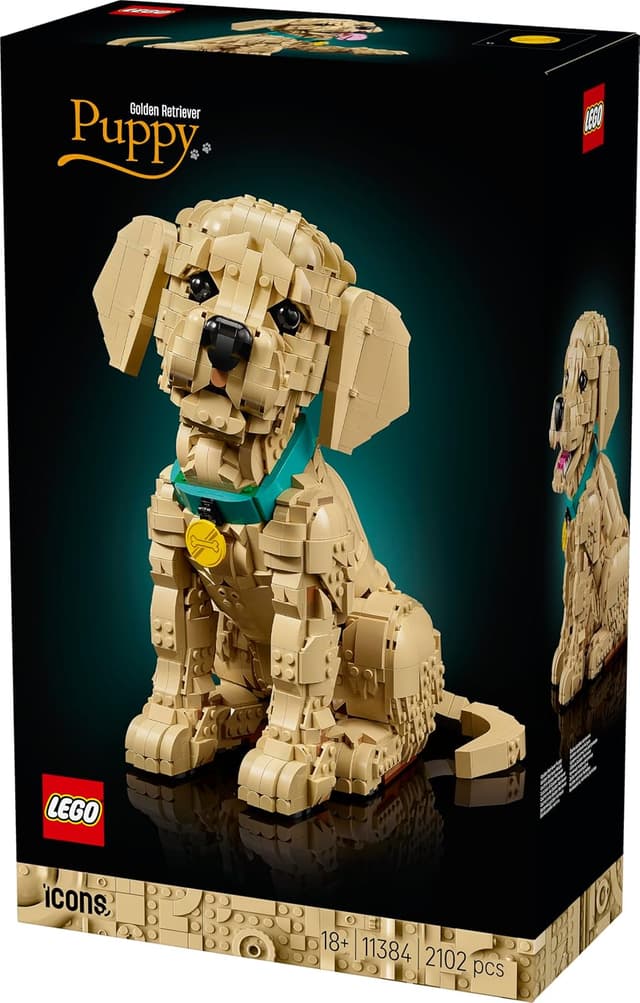 Detalle 2 de LEGO Icons 11384 Golden Retriever Welpe – 3D-Modellbau für Erwachsene mit beweglichen Teilen