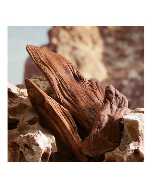 Thumbnail 5 de Dolce & Gabbana K Eau de Parfum 100 ml