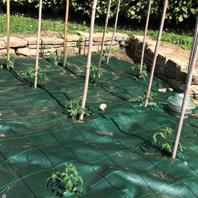 Detalle de TENAX Cover Pro 1,60x5 m Verde, telo antierbacce professionale per pacciamatura