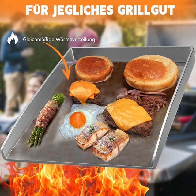 Thumbnail 6 de Camxon Plancha Edelstahl 40.5×31 cm