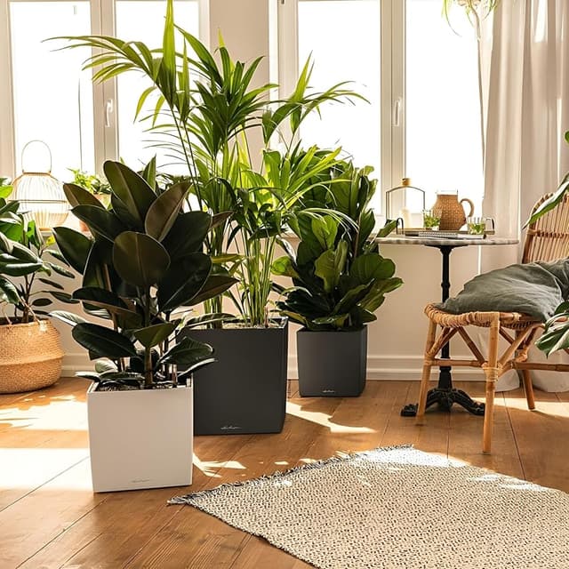 Thumbnail 2 de LECHUZA Cube Premium macetero 30 cm Antracita