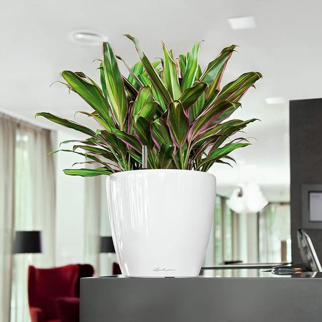 Thumbnail 5 de Lechuza Classico Premium LS 28 Blanco brillante 28 cm