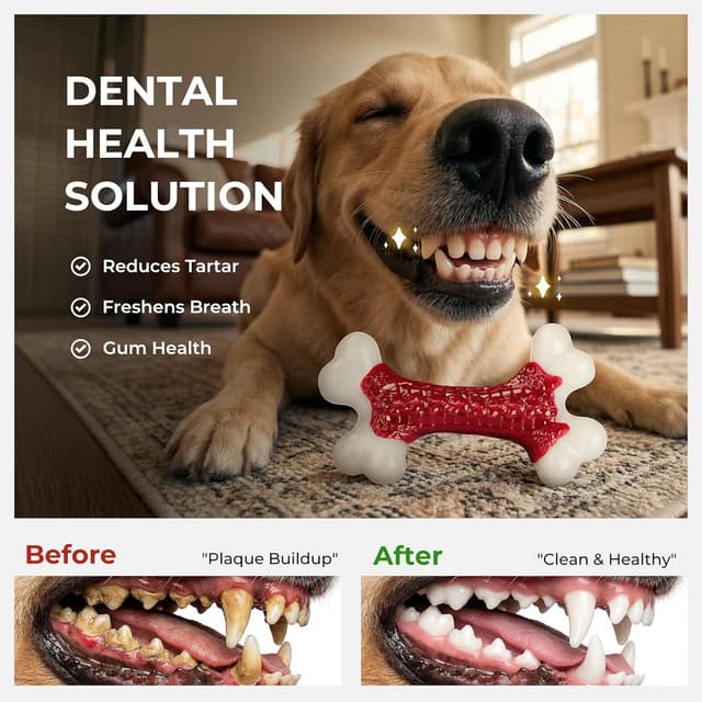 Detalle 2 de ChienBox Nylon Bone Toy beef flavour for large dogs