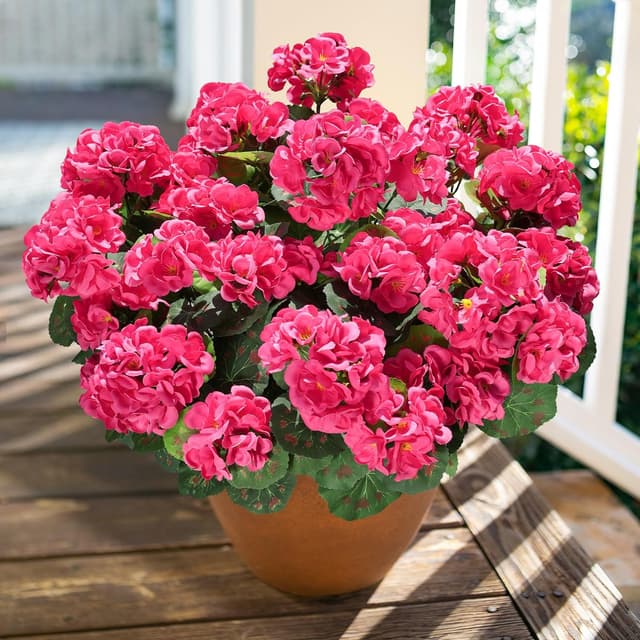Detalle de HyeFlora Artificial Geranium Fake Flowers for Outdoors Decoration (6 Bundles) — UV Resistant Silk, Hot Pink