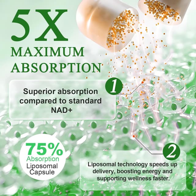 Thumbnail 4 de Liposomale NAD+ Kapseln 910 mg – NAD Booster 💊