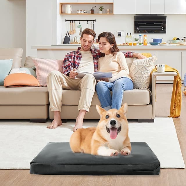 Thumbnail 6 de DUJUIKE coprimaterasso impermeabile di ricambio per cani con cerniera (M, 92 x 59 x 10 cm)