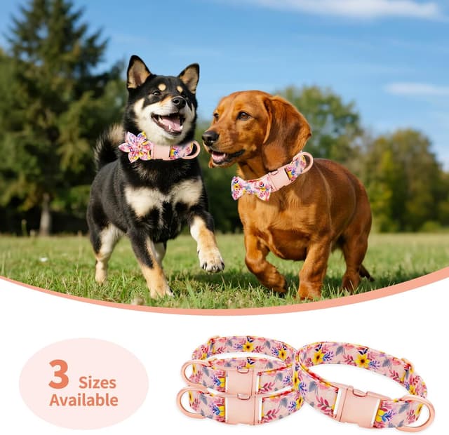 Thumbnail 6 de Dote Dog Collar Set Pink Diamond M