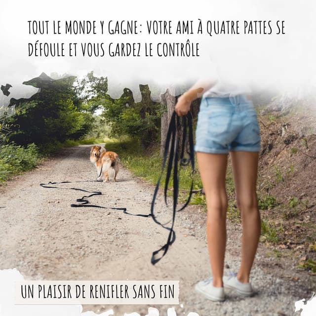 Thumbnail 1 de Rudelkönig Longe pour Chien 15m 🐕