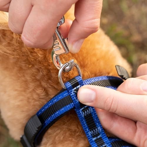 Thumbnail 2 de Ferplast ERGOCOMFORT G15/120 Correa para Perros, Azul 🐾