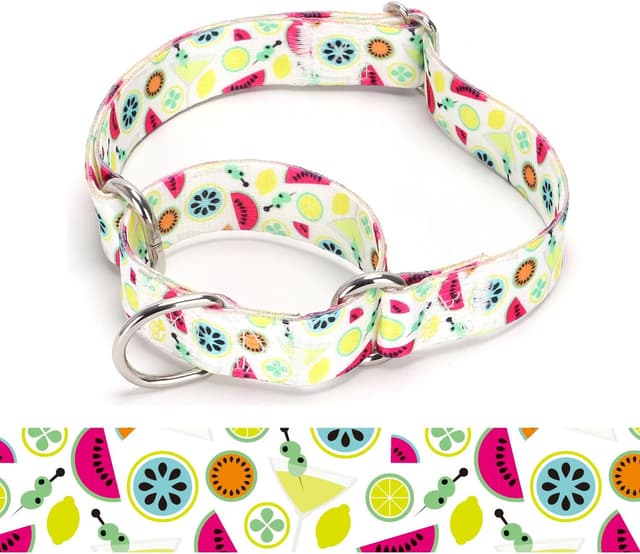 Thumbnail 6 de Collare martingala Haoyueer XL 53-62 cm