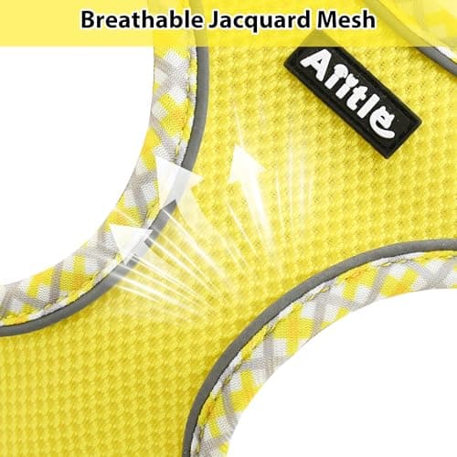 Thumbnail 6 de AIITLE Harnais et laisse pour chien, anti-traction, jaune XS ⚙