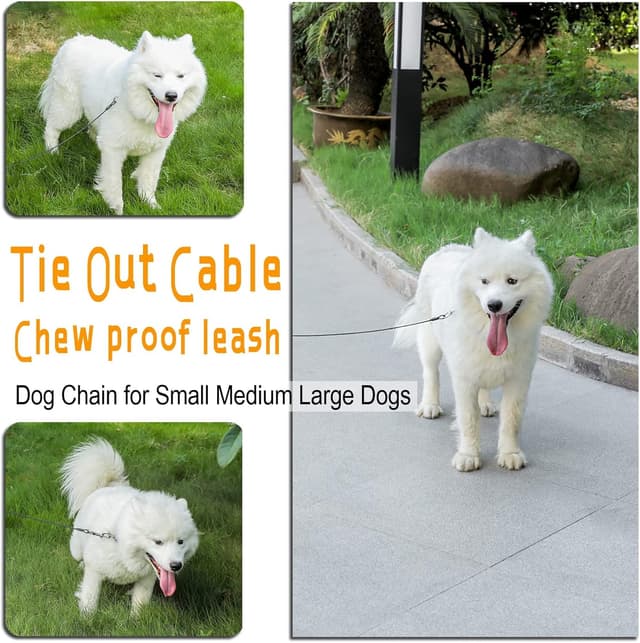 Thumbnail 6 de Mi Metty Dog Tie Out Cable 10 ft