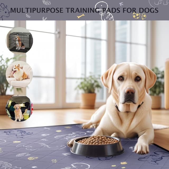 Thumbnail 5 de IEUUMLER Washable Pee Pads 80x90 cm 2 Pack