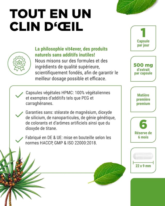 Detalle 2 de Extrait de Palmier Nain (Saw Palmetto) – 180 capsules de 500 mg, 5% phytostérols (25 mg) – Végane