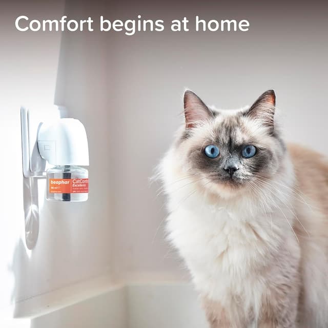 Thumbnail 6 de Beaphar CatComfort Excellence Calming Diffuser Starter Kit 🐱
