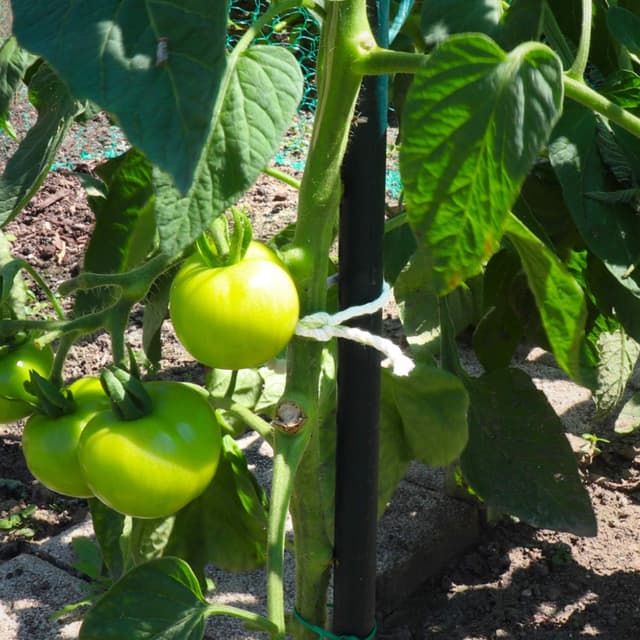 Thumbnail 2 de GRÜNTEK Spago Macramé 60 m per decorare