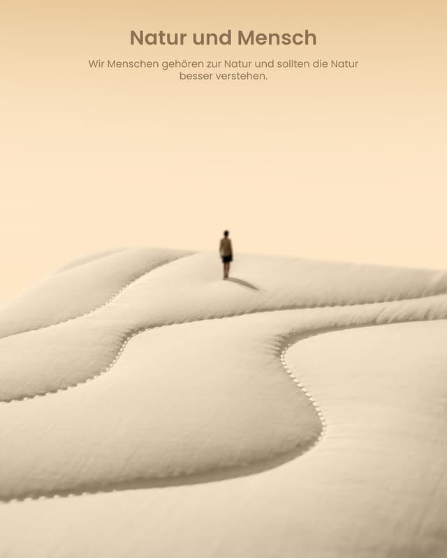 Detalle de tomtoc gesteppte Laptop-Tasche Puffy Sleeve für 16 Zoll MacBook Pro (A3403/A3186/A2991/A2780 u. a.)