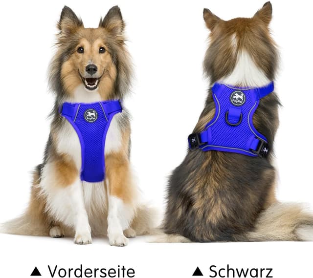 Detalle de PoyPet reflektierendes, weiches Mesh-Hundegeschirr mit doppelter Polsterung (Königsblau), Größe L