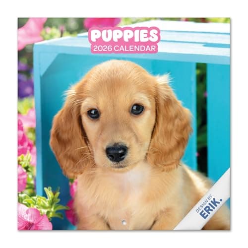 Imagen de Grupo Erik Calendario 2026 Perros 30×30 cm 📅 en OfertitasTOP