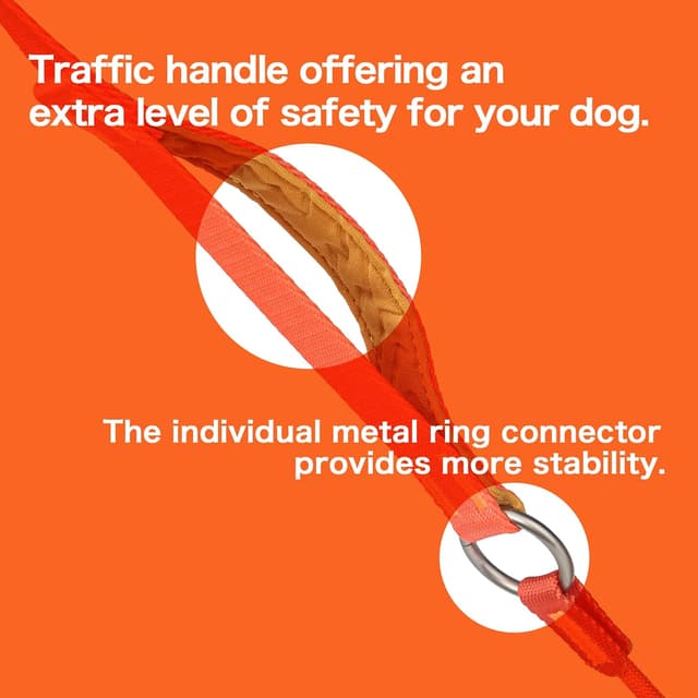 Detalle 2 de HOWGO padded slip lead dog leash (training no-pull), green, 5ft