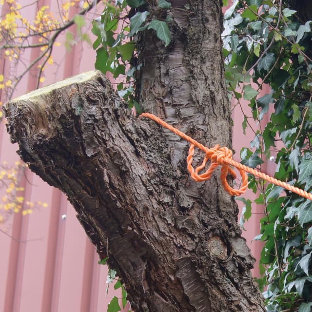 Thumbnail 1 de Con:P B34083 Corde universelle 8 mm x 20 m