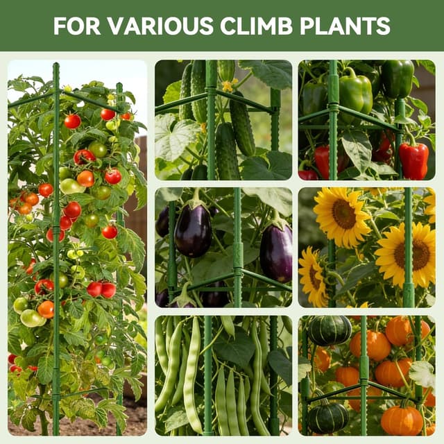 Detalle 2 de Halatool 6 Pack Adjustable Tomato Cages (up to 120cm) – Garden Stakes Support Frame for Pots & Raised Beds