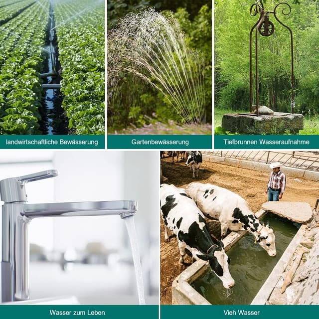 Detalle 2 de Randaco Tiefbrunnenpumpe 0,75 kW aus Edelstahl – 20 m Kabel, max. 67 m Förderhöhe