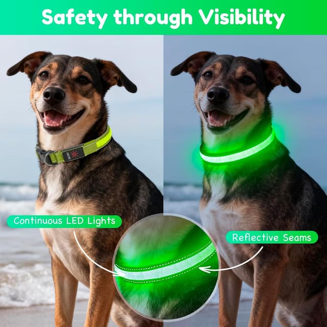 Detalle de Sugiifamy Light Up Dog Collar (Green, M) with USB Rechargeable LED Tube and Reflective Stitches