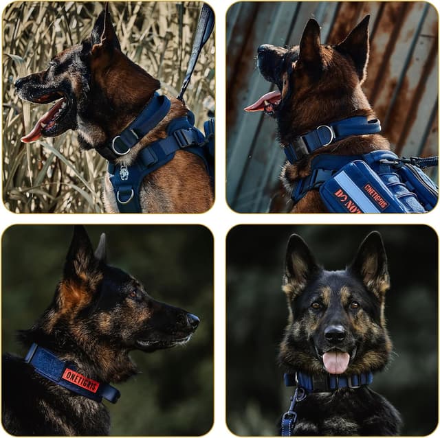 Detalle de OneTigris Tactical Dog Collar with Handle (M, Navy Blue) for Large Dogs